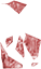 Sjgaraget